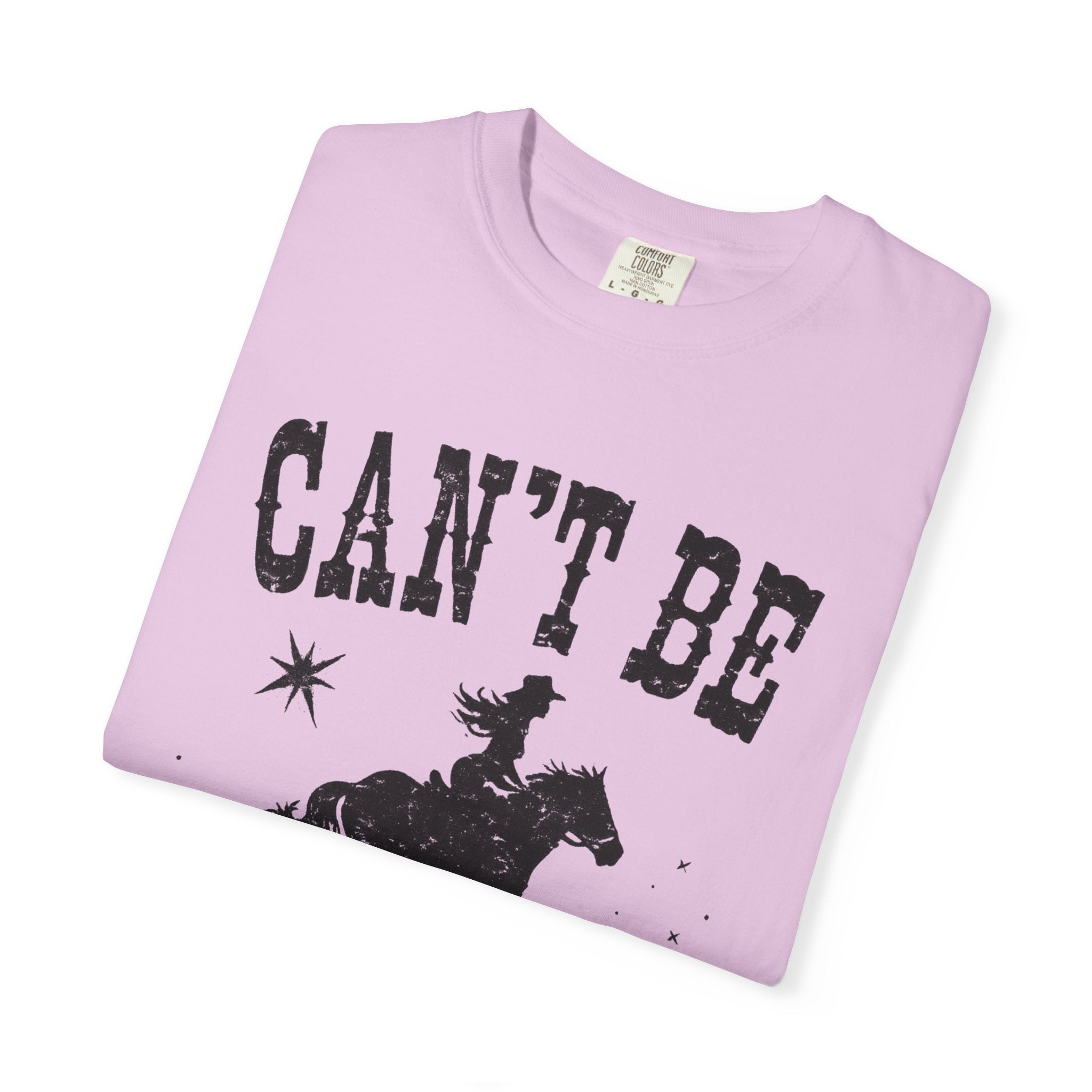 Can’t Be Tamed Western T-Shirt — Cowboy Horse Graphic Tee