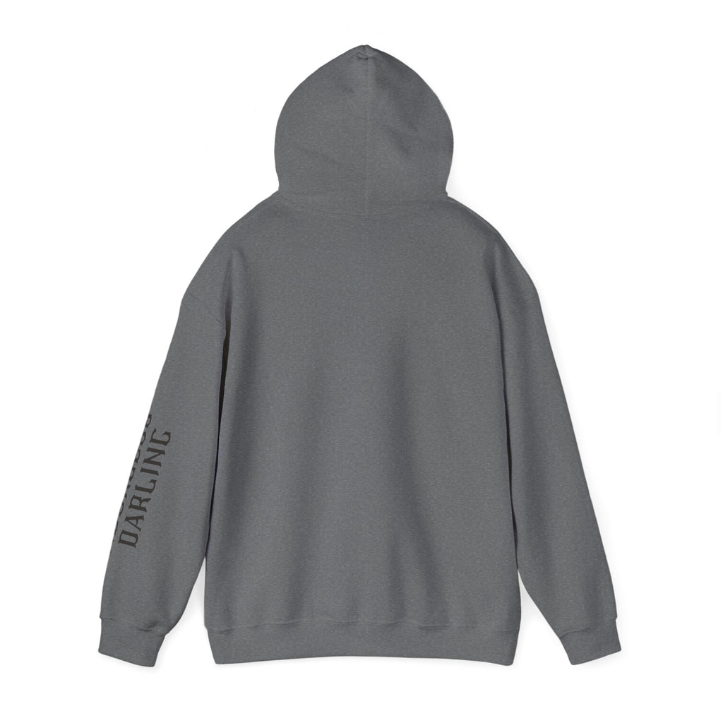 Chaos Hoodie - "I Bring The Chaos" Graphic Hooded Sweatshirt with Sleeve Text