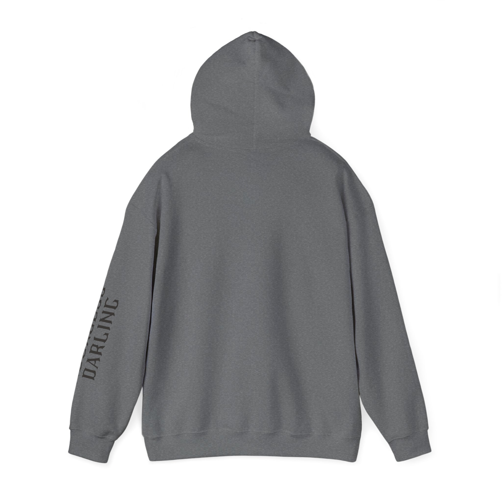 Chaos Hoodie - "I Bring The Chaos" Graphic Hooded Sweatshirt with Sleeve Text
