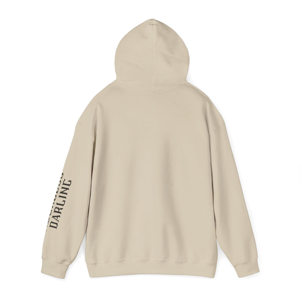 Chaos Hoodie - "I Bring The Chaos" Graphic Hooded Sweatshirt with Sleeve Text