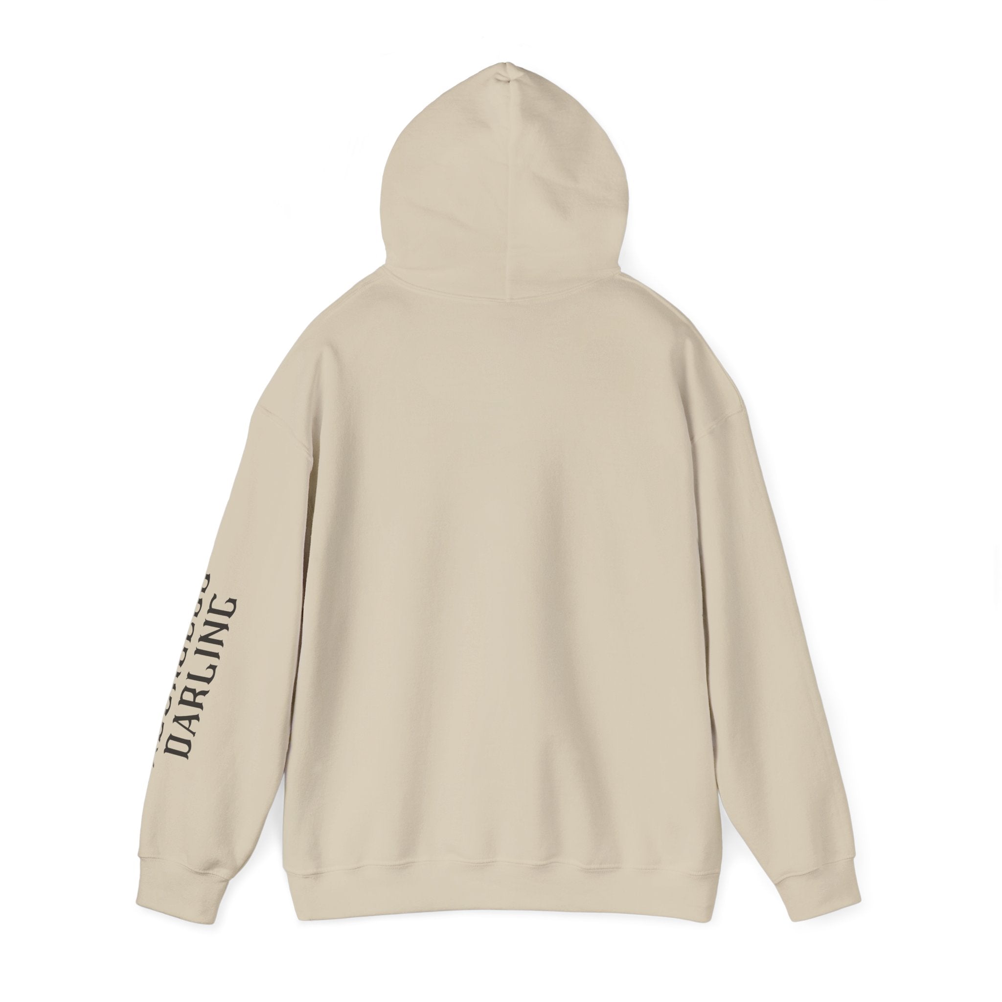 Chaos Hoodie - "I Bring The Chaos" Graphic Hooded Sweatshirt with Sleeve Text