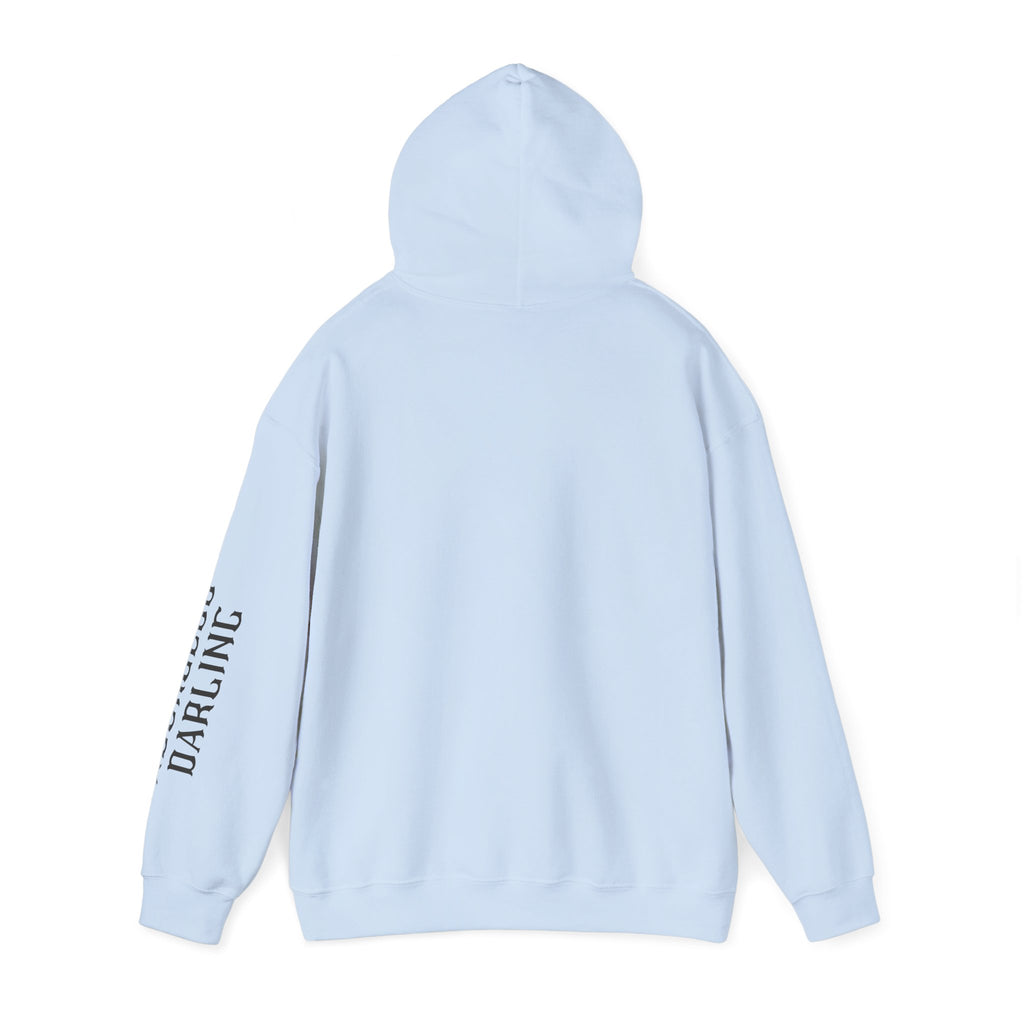 Chaos Hoodie - "I Bring The Chaos" Graphic Hooded Sweatshirt with Sleeve Text