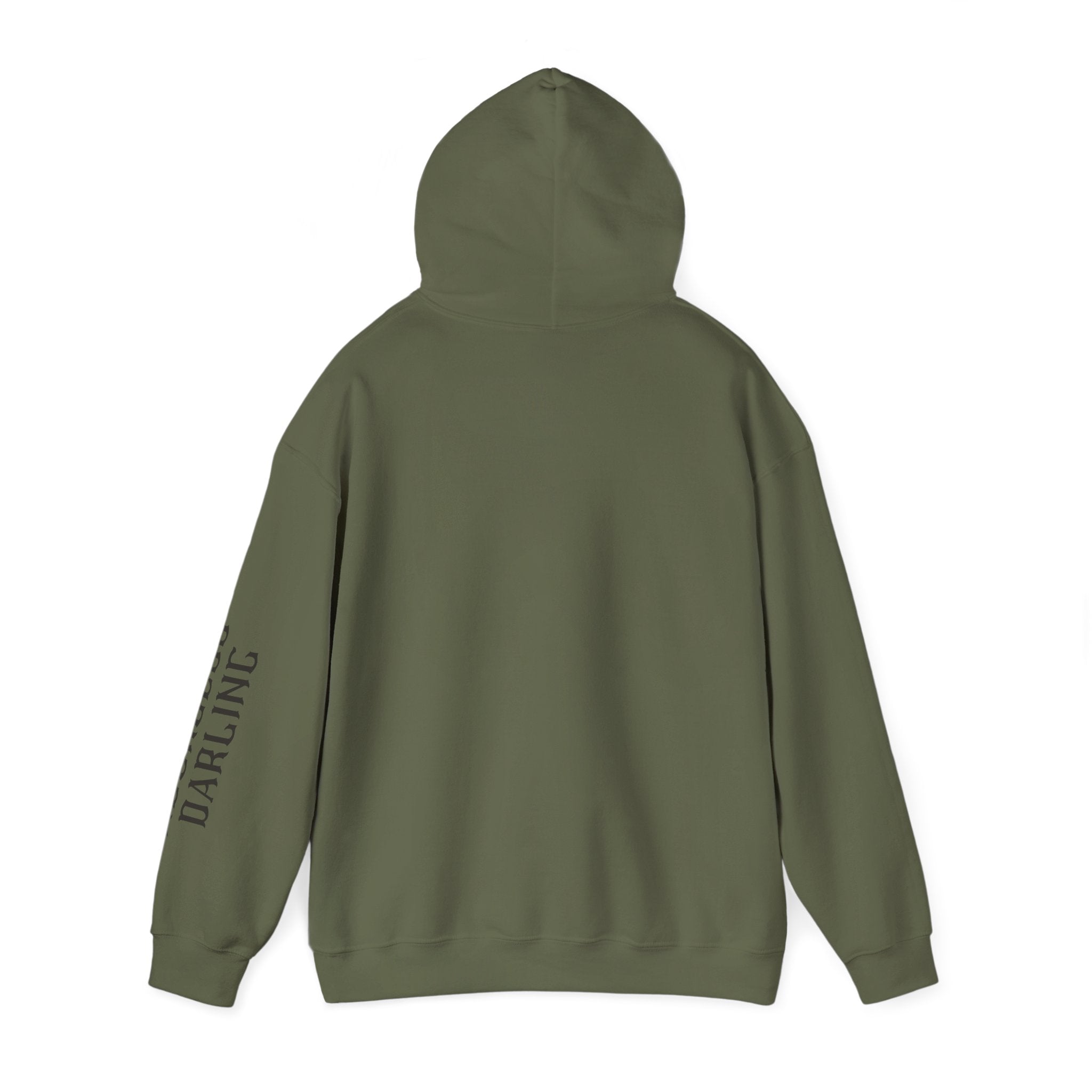 Chaos Hoodie - "I Bring The Chaos" Graphic Hooded Sweatshirt with Sleeve Text