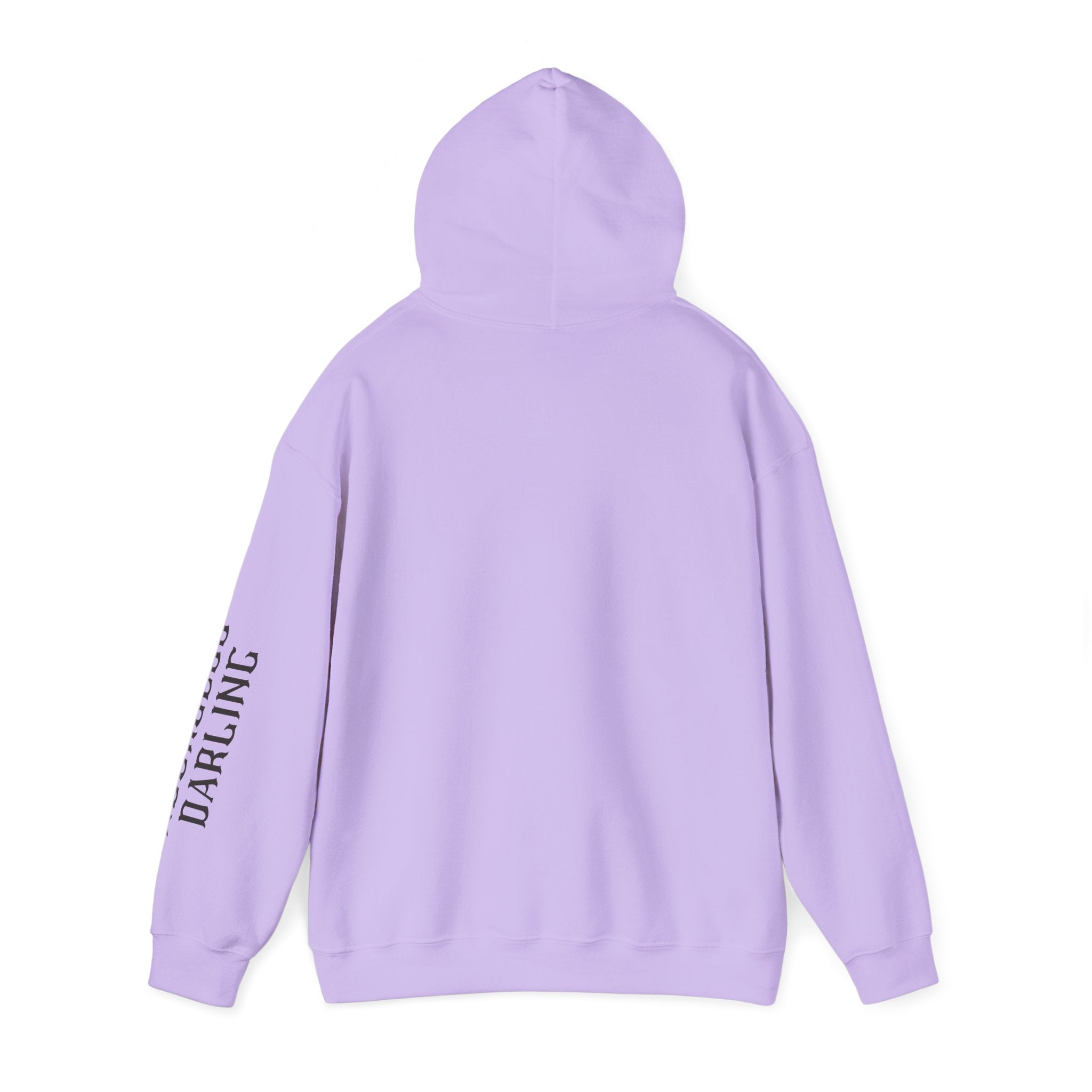 Chaos Hoodie - "I Bring The Chaos" Graphic Hooded Sweatshirt with Sleeve Text